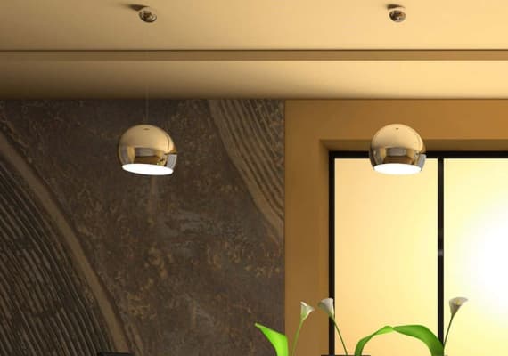 北京冬林科技有限公司